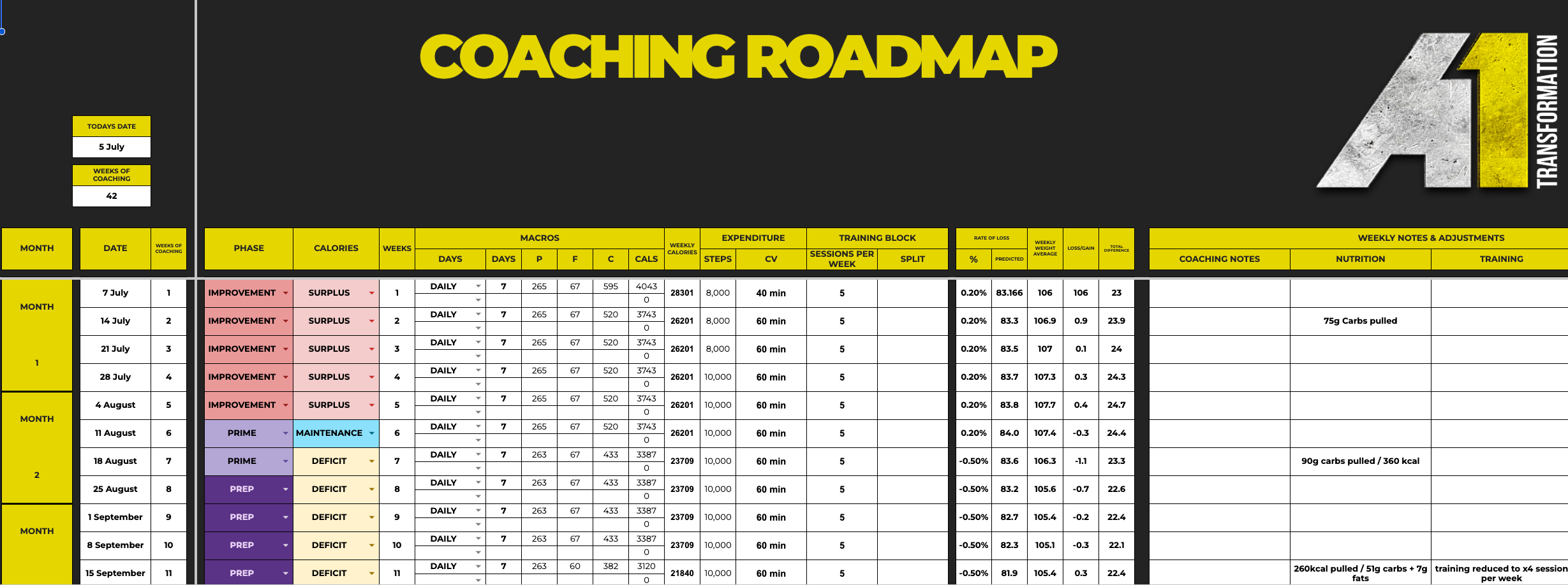 A1 coaching roadmap spreadsheet showing client phases, targets and weekly adjustments